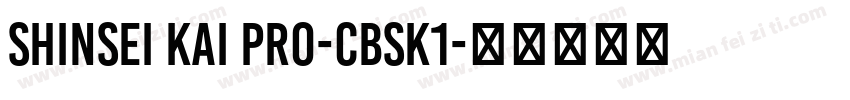 Shinsei Kai Pro-CBSK1字体转换